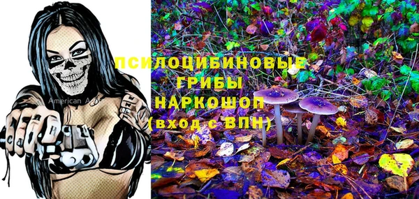 стаф Елабуга