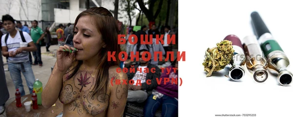 стаф Елабуга