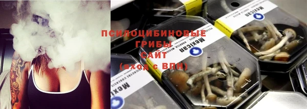 Альфа ПВП Елизово