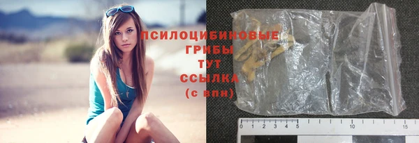 стаф Елабуга