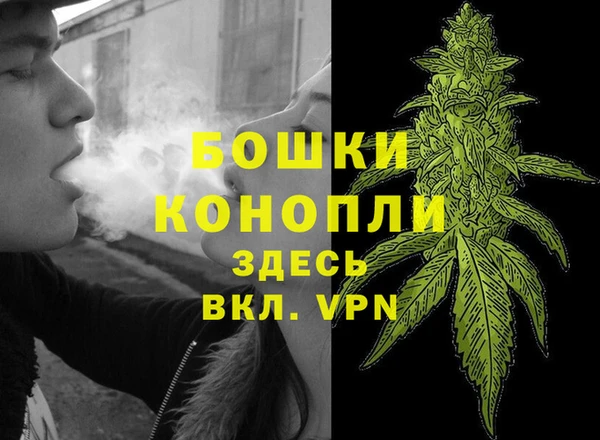 стаф Елабуга
