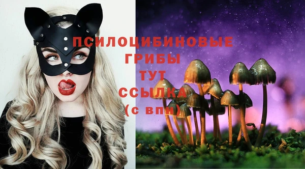 кокаин VHQ Ельня