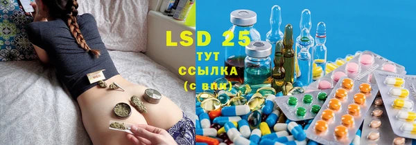 стаф Елабуга