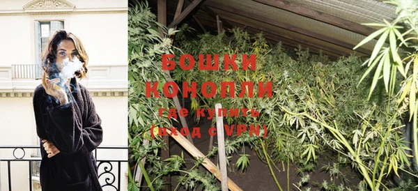 стаф Елабуга