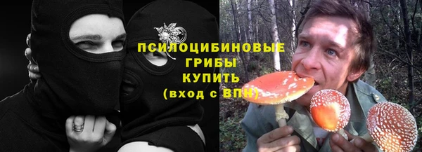 Альфа ПВП Елизово